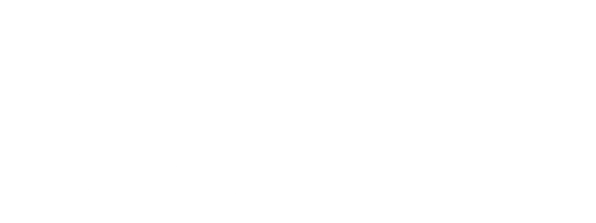 MS SRL - logo MS SRL-logo